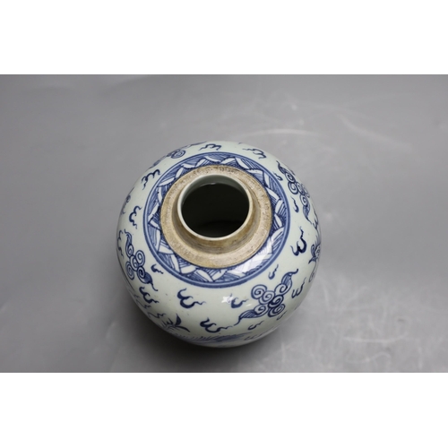 339 - A Chinese blue and white 'phoenix' jar, 17 cms high,