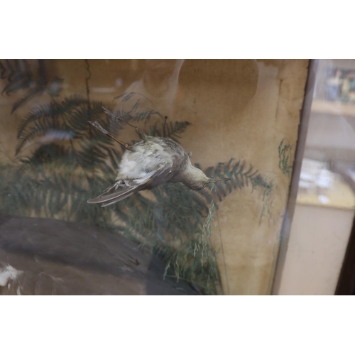 394 - A cased taxidermic heron amongst foliage with caught eel bait, 76cm tall