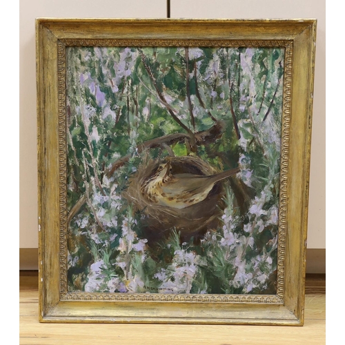 601 - Amy Katherine Browning (1881-1978), oil on board, 'Mother Thrush', signed with RI Exhibition label v... 