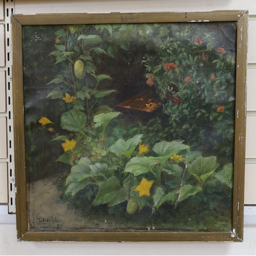 617 - Leischler, oil on canvas, Sketch of courgette plant in a garden, signed and dated '37, 43 x 44cm... 