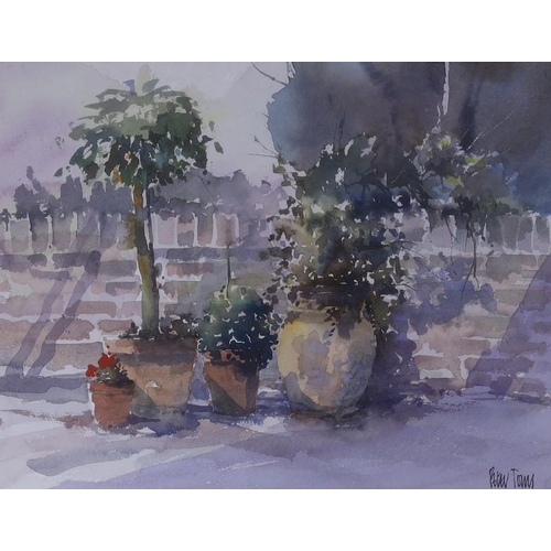 624 - Peter Toms (b.1940), three watercolours, 'Patio Pots', 'Home with the catch' and 'In the Approaches'... 