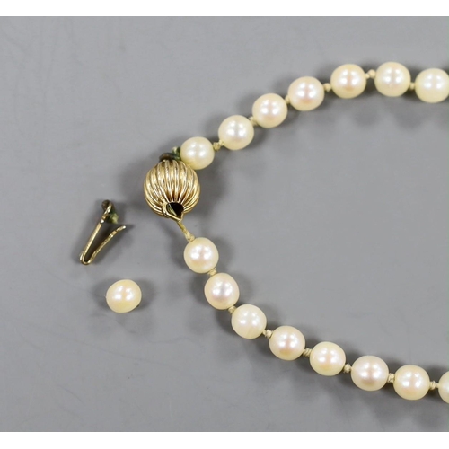 894 - A singe strand graduated cultured pearl necklace, with 9ct clasp, 56cm (a.f.).