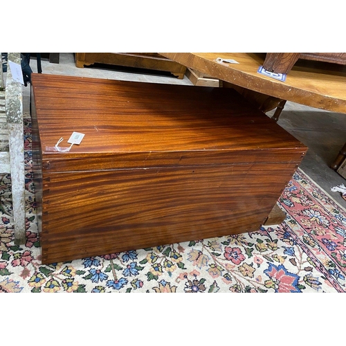 1079 - A camphorwood trunk, width 102cm