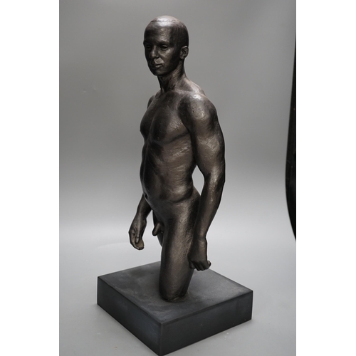 1360 - A bronzed plaster nude male torso, 48cms high,