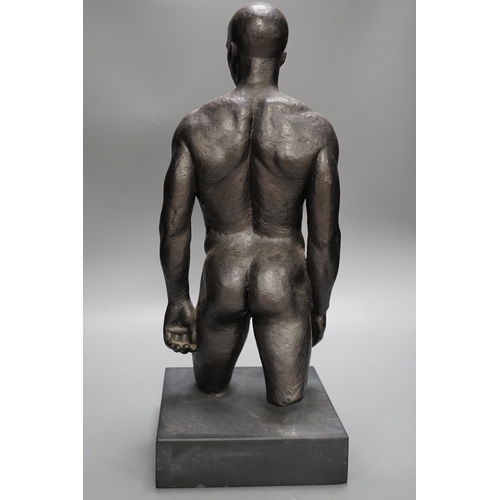 1360 - A bronzed plaster nude male torso, 48cms high,