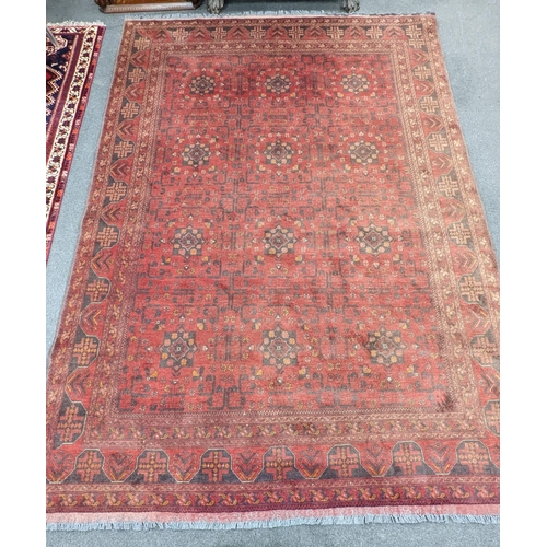 1185 - An Afghan red ground carpet, 300 x 208cm