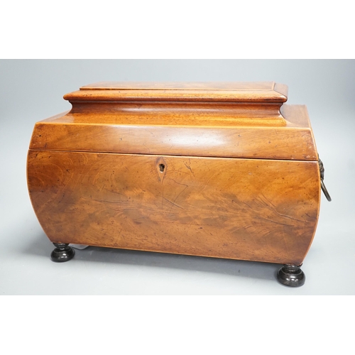 1305 - A  George IV mahogany bombe-shaped sarcophagus tea caddy, 33cms wide