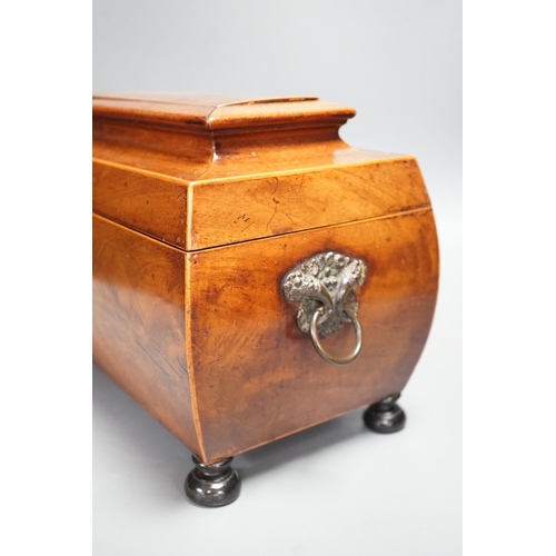 1305 - A  George IV mahogany bombe-shaped sarcophagus tea caddy, 33cms wide