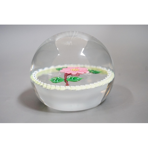 1510 - A Caithness pink camelia glass paperweight, no.94/250