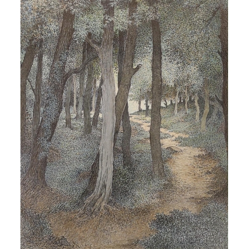 1663 - C. Guy RBA, ink and watercolour, 'Lighthall' a woodland path, signed, 29 x 24cm