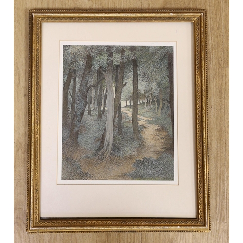 1663 - C. Guy RBA, ink and watercolour, 'Lighthall' a woodland path, signed, 29 x 24cm