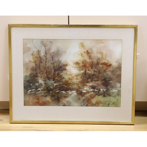 1753 - Phyllis Del Vecchio (American Contemporary), watercolour, 'Autumn', signed, 38 x 55cm