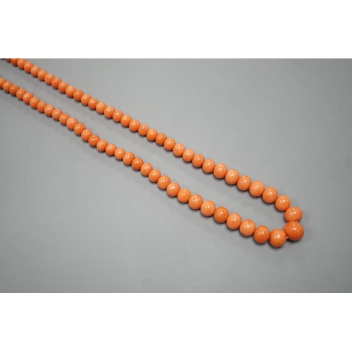 1900 - A single strand graduated coral bead necklace, 48cm, gross 29 grams.