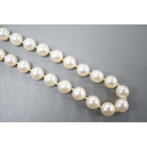 1926 - A modern single strand cultured pearl necklace with 750 white metal clasp, 42cm.