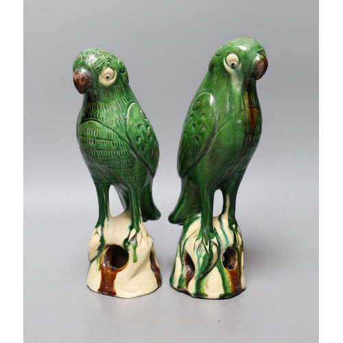 337 - A pair of 19th/20th century Chinese sancai stoneware parrots, 22cm