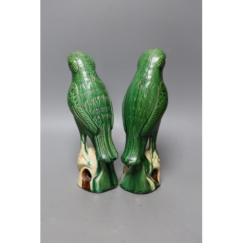 337 - A pair of 19th/20th century Chinese sancai stoneware parrots, 22cm