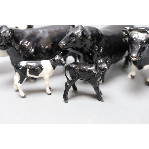 345 - A Beswick Aberdeen Angus bull, cow and calf, together with a Godington Hilt Bar bull, cow and calf,... 