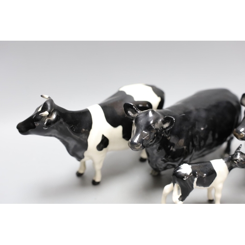 345 - A Beswick Aberdeen Angus bull, cow and calf, together with a Godington Hilt Bar bull, cow and calf,... 