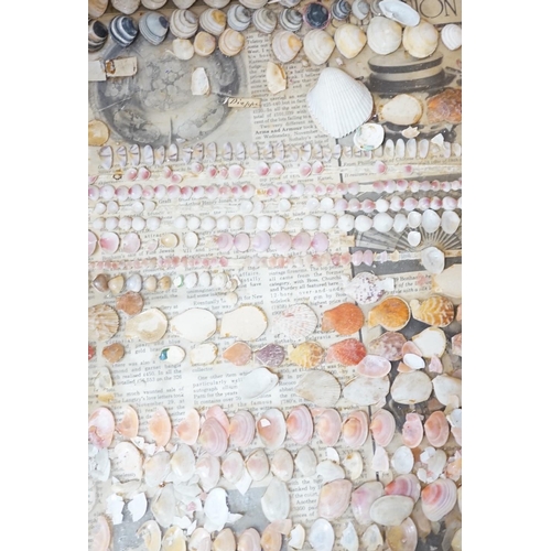 439 - Collection of sea shells mounted on glass panels