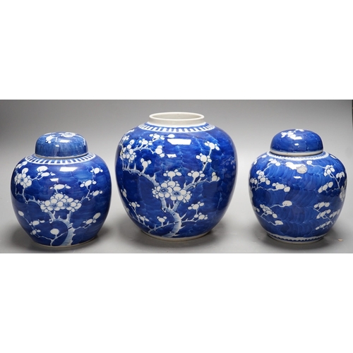 464 - Three late 19th/early 20th century Chinese blue and white prunus jars, two covers. Tallest 16cm... 