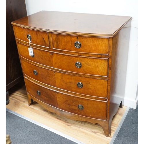 1151 - A Regency mahogany bowfront chest of two short and three long drawers, width 91cm, depth 50cm, heigh... 