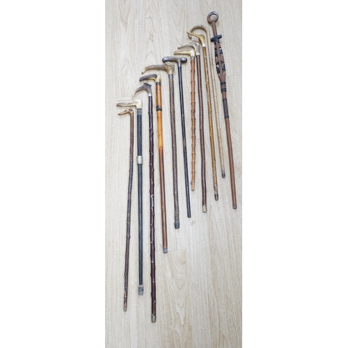 1330 - Twelve assorted walking sticks including silver mounted and staghorn handled