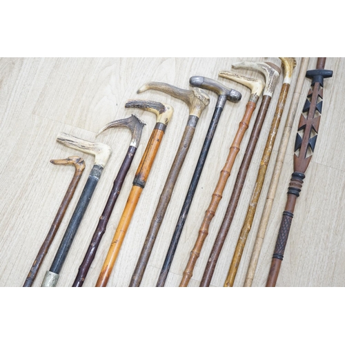 1330 - Twelve assorted walking sticks including silver mounted and staghorn handled