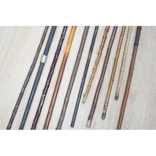 1330 - Twelve assorted walking sticks including silver mounted and staghorn handled