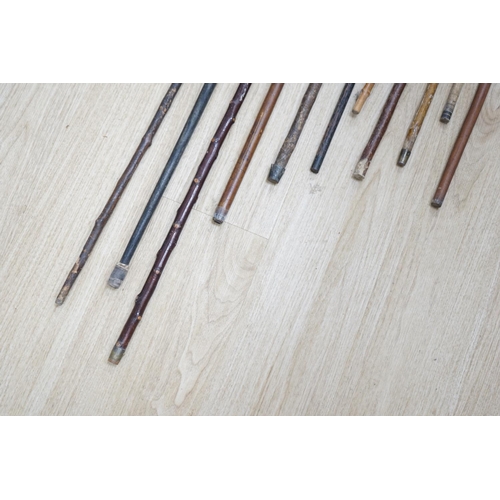 1330 - Twelve assorted walking sticks including silver mounted and staghorn handled