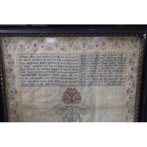 290 - An 18th century framed silkwork sampler, 37x32cm excl frame