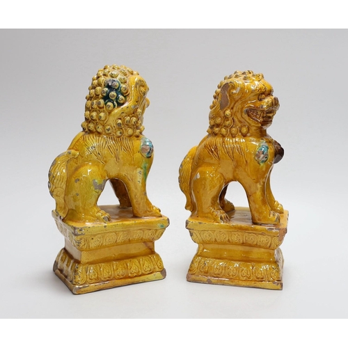 303 - A pair of Chinese ochre glazed Buddhist lion figures, 25cm