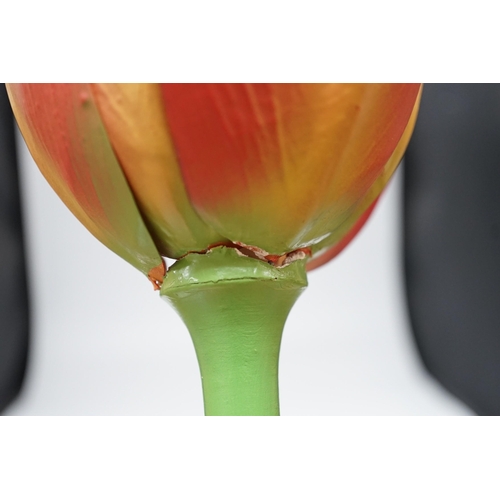 335 - Scientific Brendel model of a tulip, 52cm