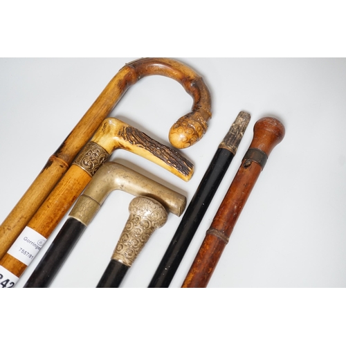 342 - Two Victorian silver mounted walking sticks, a sword stick and three other sticks (6)