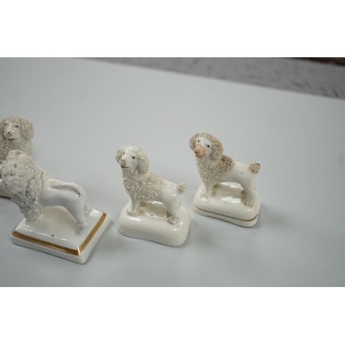 419 - Five small Staffordshire models of poodles standing on their bases, to include a Lloyd Shelton white... 