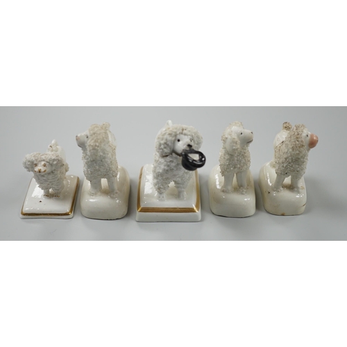 419 - Five small Staffordshire models of poodles standing on their bases, to include a Lloyd Shelton white... 