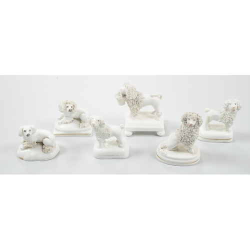 427 - Five small Staffordshire models of poodles, together with a small poodle lying recumbent on an oval ... 