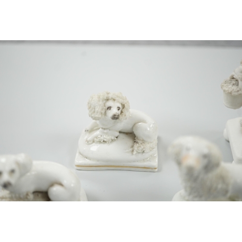 427 - Five small Staffordshire models of poodles, together with a small poodle lying recumbent on an oval ... 