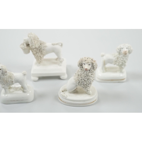 427 - Five small Staffordshire models of poodles, together with a small poodle lying recumbent on an oval ... 