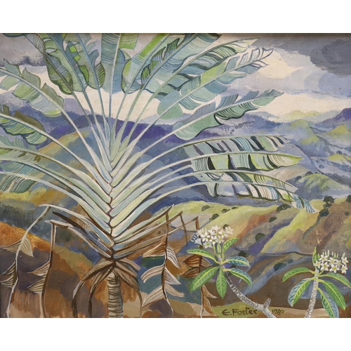 623 - Edward Foster, oil on board, Tropical landscape with banana plant, signed and dated 1980, 24 x 29cm... 