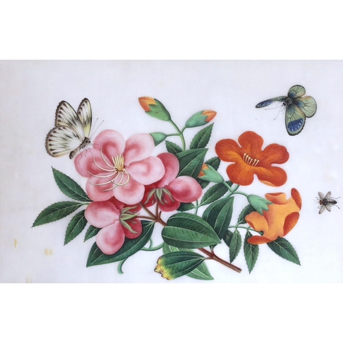 633 - 19th century Chinese School, gouache on pith paper, Butterflies and flowers, 18 x 28cm