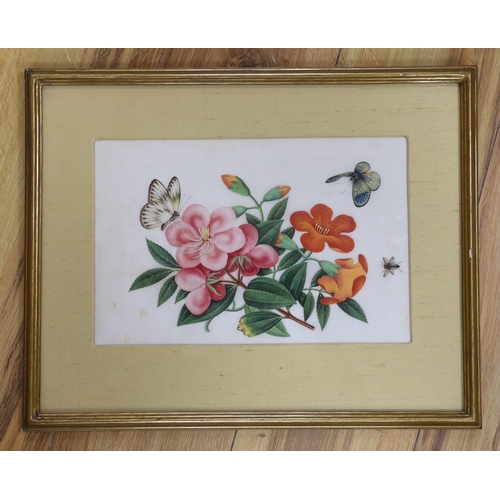 633 - 19th century Chinese School, gouache on pith paper, Butterflies and flowers, 18 x 28cm