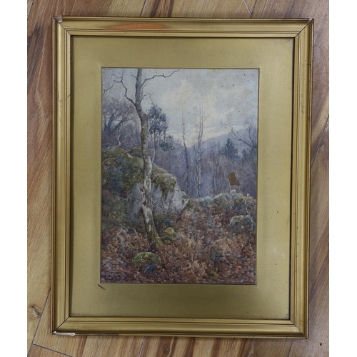 653 - Ralph William Bardill (1876-1935), watercolour, 'A Wood in the Llugwy Valley', signed, 32 x 23cm... 