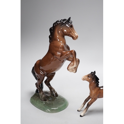 1255 - Two Beswick models of horses, one rearing and the other a foal. Tallest 27cm