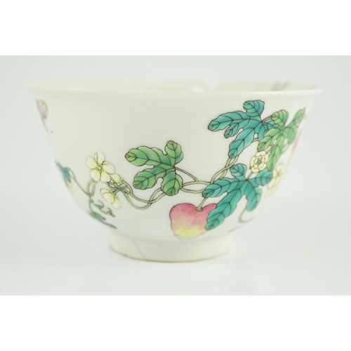 163 - A Chinese famille rose bowl, Jiaqing seal mark and of the period (1796-1820), painted with fruiting ... 