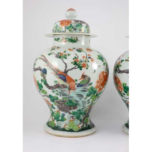 167 - A pair of large Chinese famille verte jars and covers, late 19th century, each painted with pheasant... 