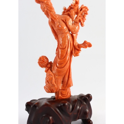 175 - A Chinese carved coral figure of a flower fairy, 20th century, the figure holding a vase of flowers ... 