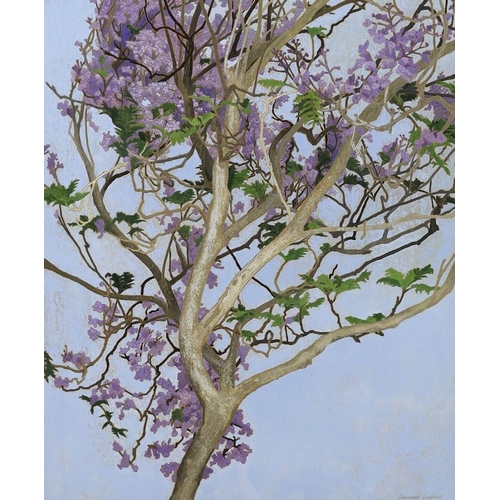 416 - Cressida Campbell (Australian, 1960-) Jacaranda in full blossomwatercolour on incised marine plysign... 