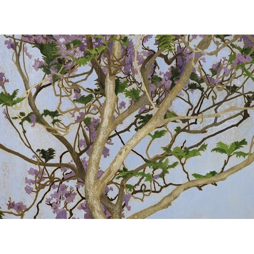 416 - Cressida Campbell (Australian, 1960-) Jacaranda in full blossomwatercolour on incised marine plysign... 