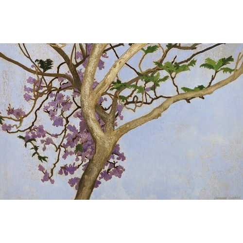 416 - Cressida Campbell (Australian, 1960-) Jacaranda in full blossomwatercolour on incised marine plysign... 