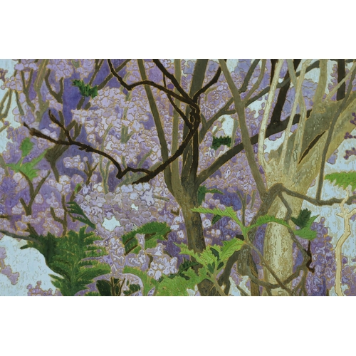 416 - Cressida Campbell (Australian, 1960-) Jacaranda in full blossomwatercolour on incised marine plysign... 